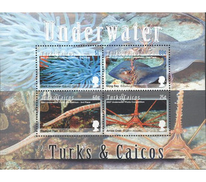 Photographs Underwater - Caribbean / Turks and Caicos Islands 2008