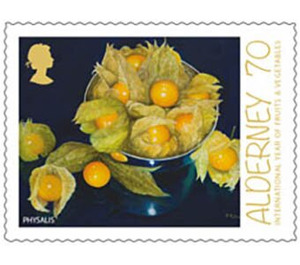 Physalis (Cape Gooseberry) - Alderney 2021 - 70