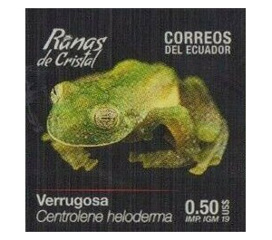 Pichincha Giant Glass Frog (Centrolene heloderma) - South America / Ecuador 2019 - 0.50