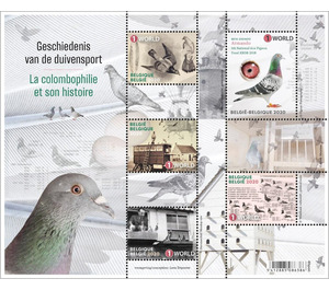 Pigeon Racing - Belgium 2020