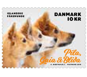 Pila, Gaia and Blida - Denmark 2019 - 10
