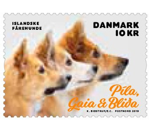 Pila, Gaia and Blida - Denmark 2019 - 10