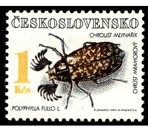 Pine Chafer (Polyphylla fullo) - Czechoslovakia 1992 - 1