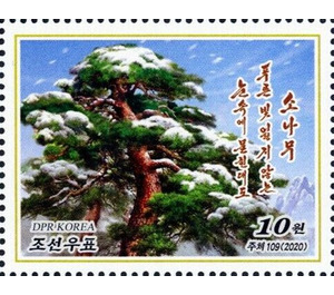 Pine Tree - North Korea 2020 - 10