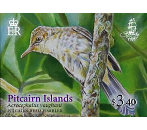 Pitcairn Islands’ Reed Warbler (Acrocephalus vaughani) - Polynesia / Pitcairn Islands 2019 - 3.40