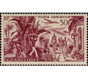 Planting - Caribbean / Guadeloupe 1947 - 50