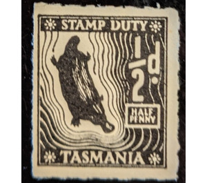 Platypus - Tasmania 1955