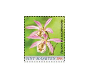 Pleione bulbocodioides - Caribbean / Sint Maarten 2020