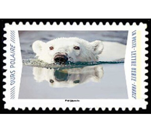 Polar Bear - France 2020