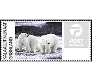 Polar Bear - Greenland 2019
