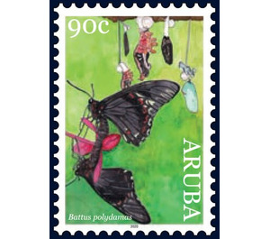 Polydamas Swallowtail (Battus polydamas) - Caribbean / Aruba 2020 - 90