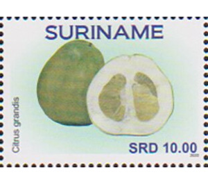 Pomelo (Citrus grandis) - South America / Suriname 2020 - 10