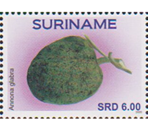 Pond Apple (Annona glabra) - South America / Suriname 2020 - 6