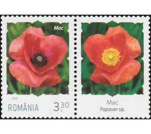 Poppy - Romania 2020 - 3.30