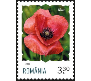 Poppy - Romania 2020 - 3.30