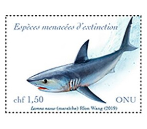 Porbeagle Shark (Lamna nasus) - UNO Geneva 2019 - 1.50