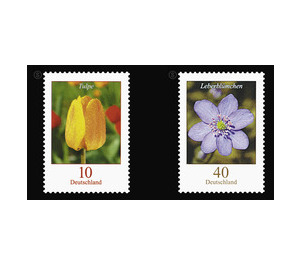 Postage stamps: flowers  - Germany / Federal Republic of Germany 2005 Set