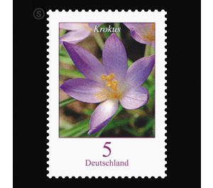 Postal stamp: flowers  - Germany / Federal Republic of Germany 2005 - 5 Euro Cent