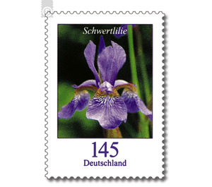 Postal stamps: flowers - Germany / Federal Republic of Germany 2006 - 145 Euro Cent