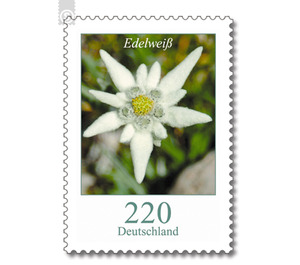 Postal stamps: flowers  - Germany / Federal Republic of Germany 2006 - 220 Euro Cent