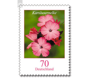 Postal stamps: flowers  - Germany / Federal Republic of Germany 2006 - 70 Euro Cent