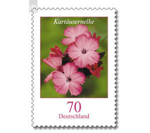 Postal stamps: flowers  - Germany / Federal Republic of Germany 2009 - 70 Euro Cent