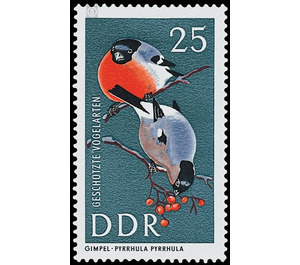 Protected birds  - Germany / German Democratic Republic 1967 - 25 Pfennig