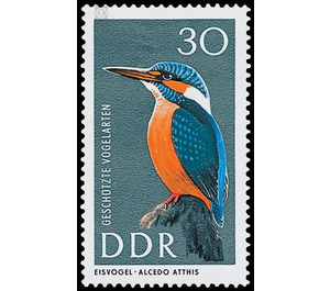 Protected birds  - Germany / German Democratic Republic 1967 - 30 Pfennig