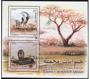 Protected Species of Algeria - North Africa / Algeria 2019