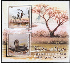 Protected Species of Algeria - North Africa / Algeria 2019