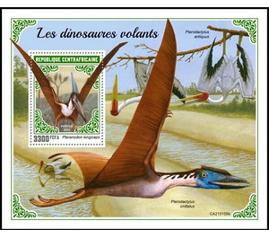 Pteranodon longiceps - Central Africa / Central African Republic 2021