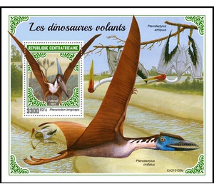 Pteranodon longiceps - Central Africa / Central African Republic 2021