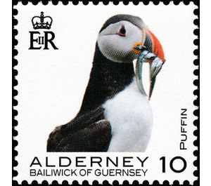 Puffin - Alderney 2020 - 10