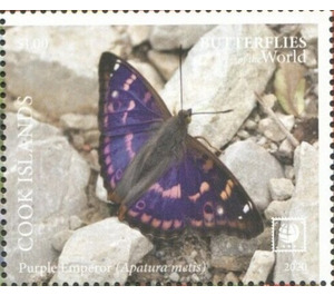 Purple Emperor (Apatura iris) - Polynesia / Cook Islands 2020 - 1