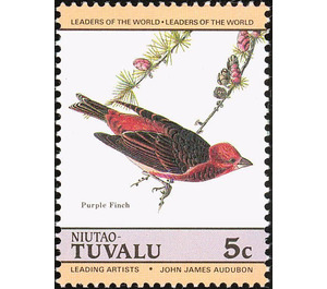 Purple Finch (Haemorhous purpureus) - Polynesia / Tuvalu, Niutao 1985