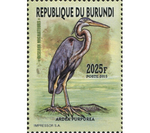 Purple Heron (Ardea purpurea) - East Africa / Burundi 2016