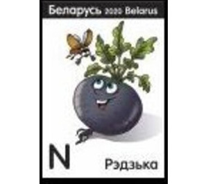 Purple Radish - Belarus 2020
