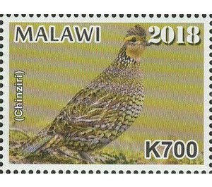 Quail (Chinziri) - East Africa / Malawi 2019 - 700