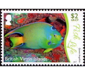 Queen Angelfish - Caribbean / British Virgin Islands 2017 - 2