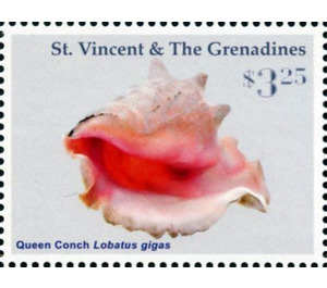 Queen conch - Caribbean / Saint Vincent and The Grenadines 2016 - 3.25