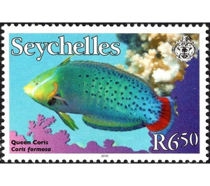 Queen Coris (Coris formosa) - East Africa / Seychelles 2010 - 6.50