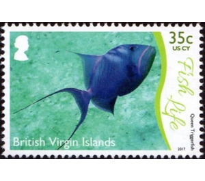 Queen Triggerfish - Caribbean / British Virgin Islands 2017 - 35