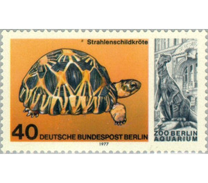 Radiated Tortoise (Geochelone radiata), Iguanadon - Germany / Berlin 1977 - 40