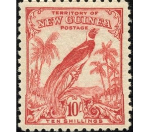 Raggiana Bird-of-paradise (Paradisaea raggiana) - Melanesia / New Guinea 1932 - 10