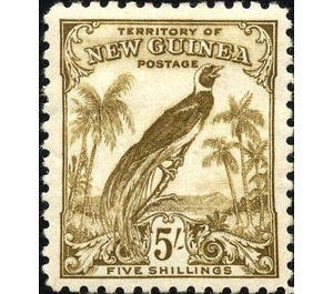 Raggiana Bird-of-paradise (Paradisaea raggiana) - Melanesia / New Guinea 1932 - 5