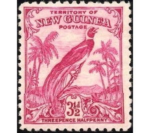 Raggiana Bird-of-paradise (Paradisaea raggiana) - Melanesia / New Guinea 1934