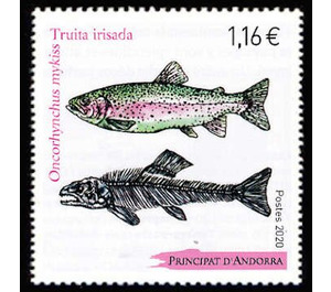 Rainbow Trout (Oncorhynchus mykiss) - Andorra, French Administration 2020 - 1.16