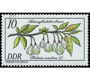 Rare woody plants  - Germany / German Democratic Republic 1981 - 10 Pfennig