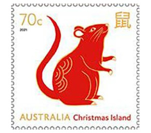 Rat - Christmas Island 2021 - 70