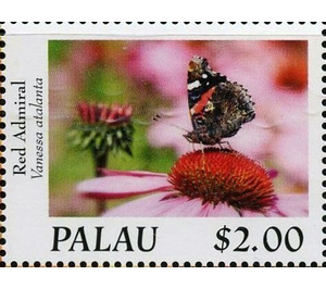 Red Admiral (Vanessa atalanta) - Micronesia / Palau 2020